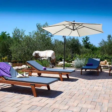 Villa Relax House Surrounded By Olives And Vineyard Stifanici