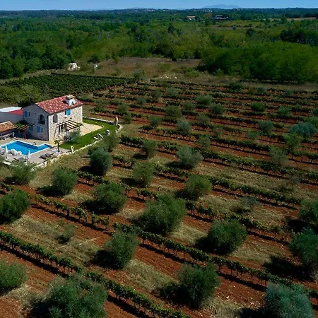 Relax House Surrounded By Olives And Vineyard Villa