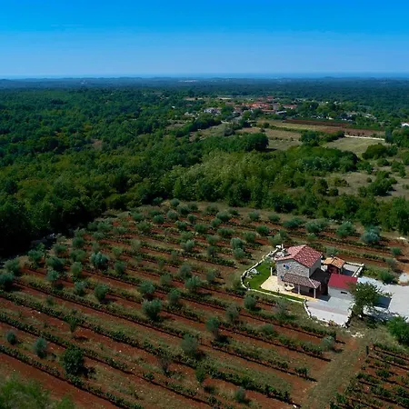 Relax House Surrounded By Olives And Vineyard *