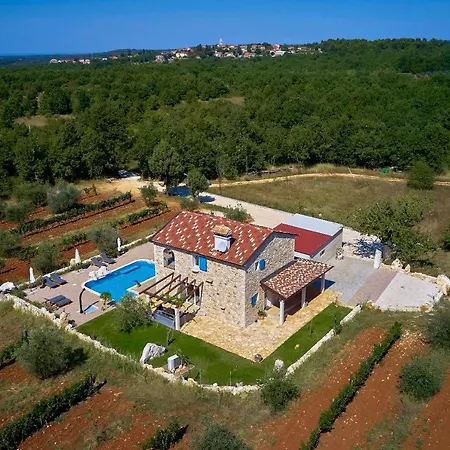 Relax House Surrounded By Olives And Vineyard Villa