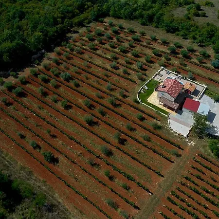 Relax House Surrounded By Olives And Vineyard