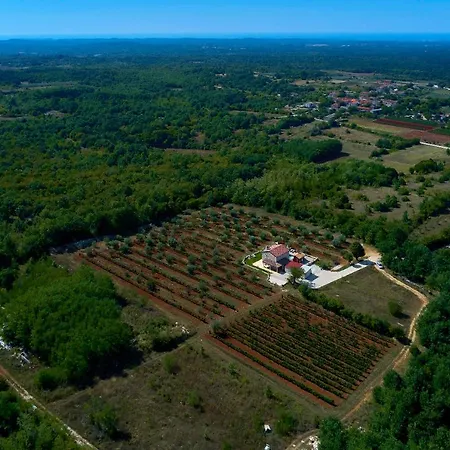 Relax House Surrounded By Olives And Vineyard *